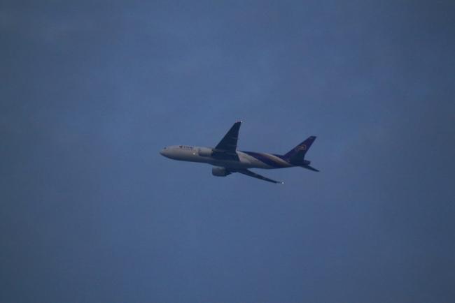 IMG_3190_resize.JPG